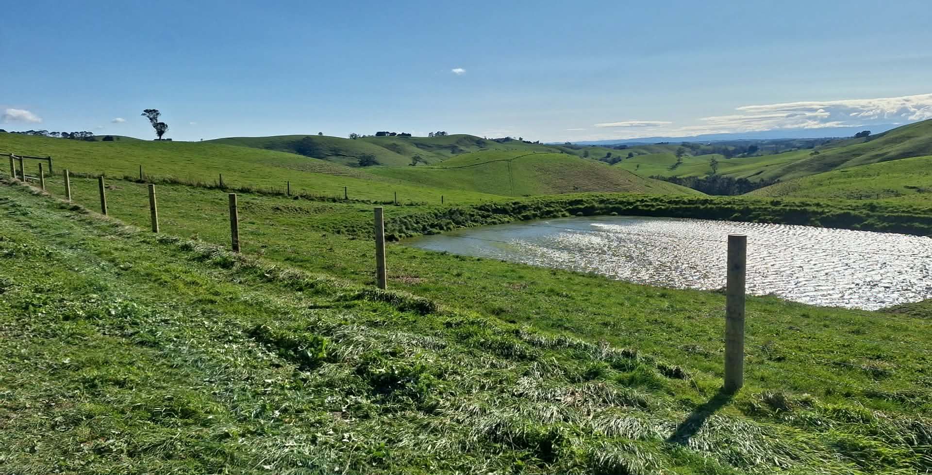 New fence line running past a farm dam through the South Gippsland hills