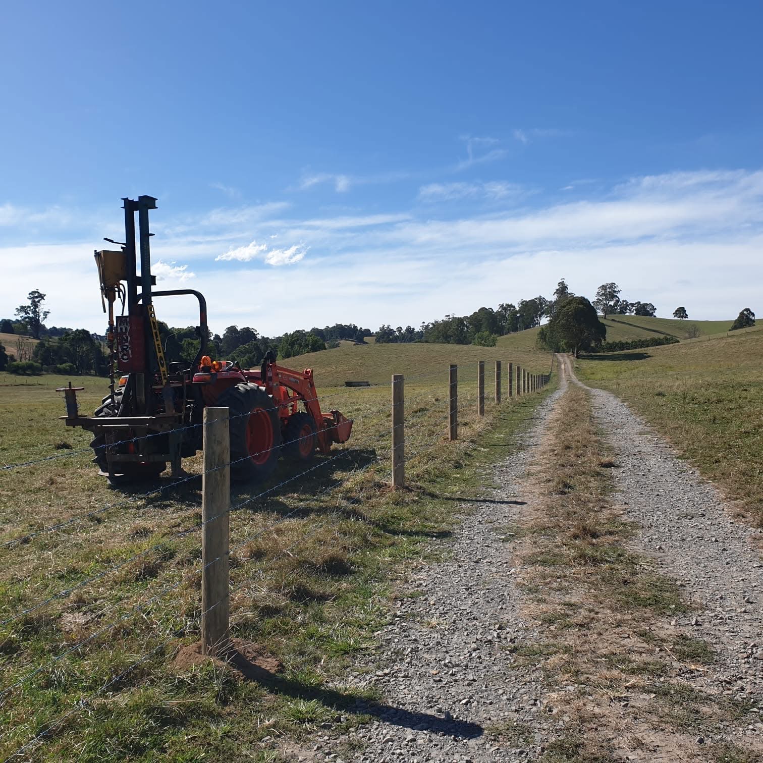 Cattle enclosed in high quality rural fence paddock
